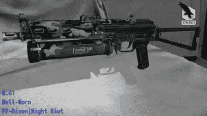 Gambar Counter Strike 2 PP-Bizon | Night Riot — 2