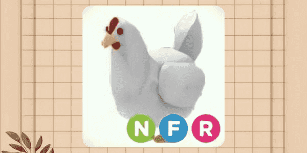 Gambar Roblox Chicken NFR - adopt me — 1