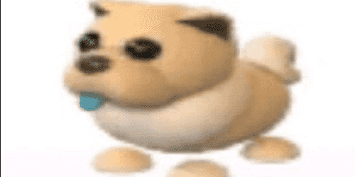 Buy Pet TAN CHOW-CHOW ADOPT ME Adopt Me Trading Hub 3015237 itemku