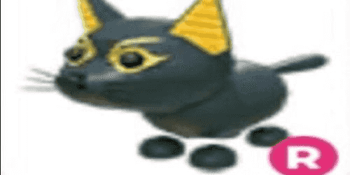 Abyssinian Cat Adopt Me: Find Your Perfect Feline Friend Today