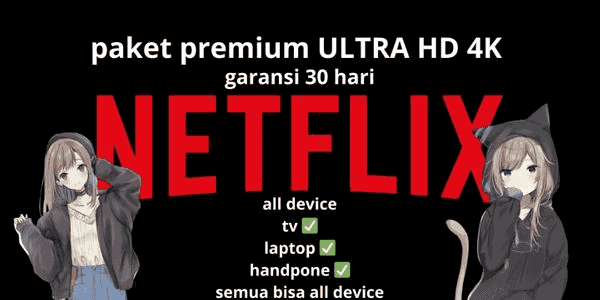 Gambar Netflix Private 1 Bulan 2 Layar HD (Region ID) — 1