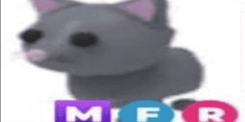 Cat Rescue Trade Me Cats For Sale Cat Inside In Case Of Fire