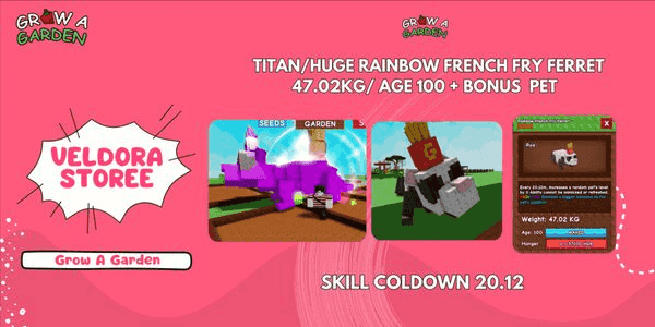 Buy Pets TITAN HUGE RAINBOW FRENCH FRY FERRET AGE 100