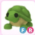 Gambar Roblox Turtle FR -  Adoptme — 1