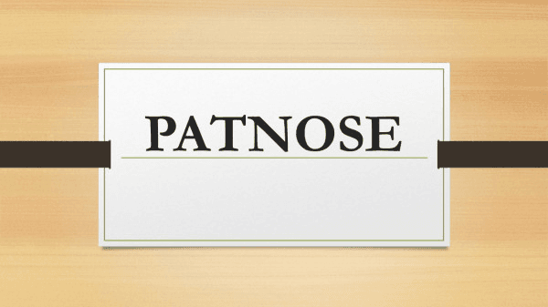 avatar Patnose