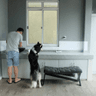 seller-image