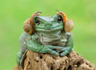 seller-image