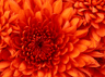 seller-image