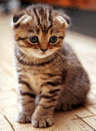 seller-image