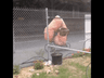 seller-image
