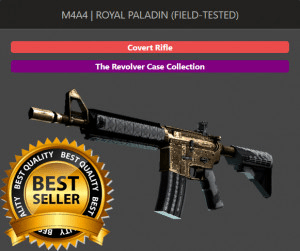 M4A4 | Royal Paladin (Field-Tested)