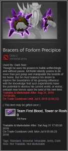 Gambar Product Bracers of Forlorn Precipice