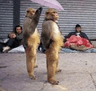 seller-image