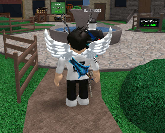 Product Showcase