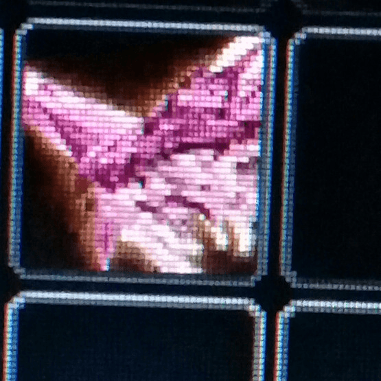 Gambar Product Lovely pink dragon (big)