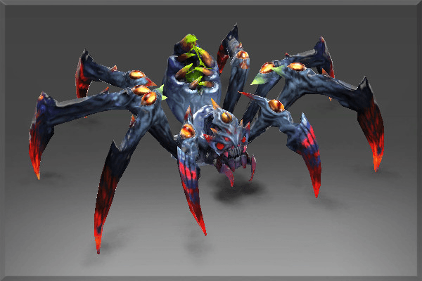 Webs of Perception Set