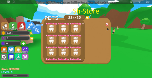 Product Showcase