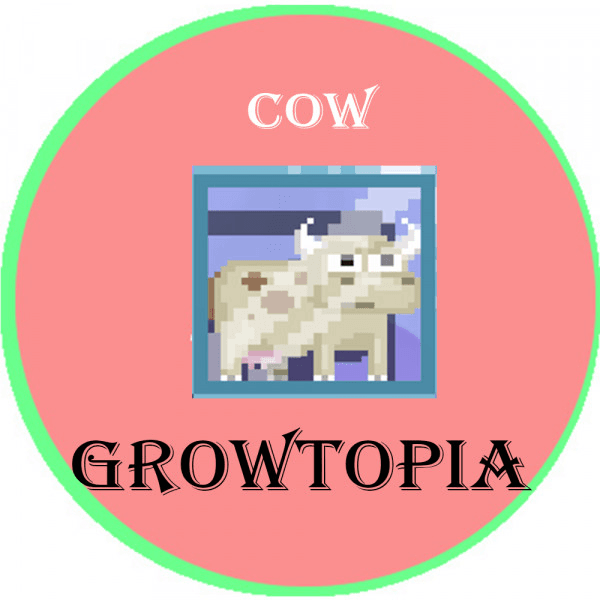 Gambar Product COW