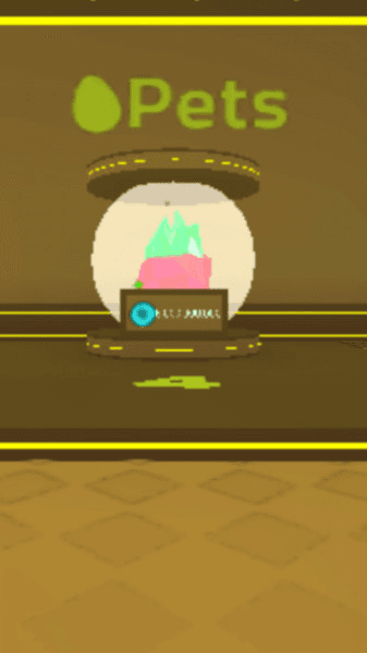 Product Showcase