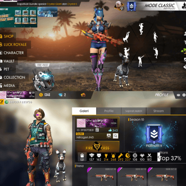 Product Showcase