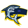 storeAvatar