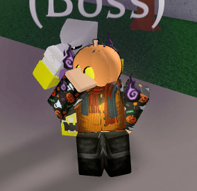 Product Showcase
