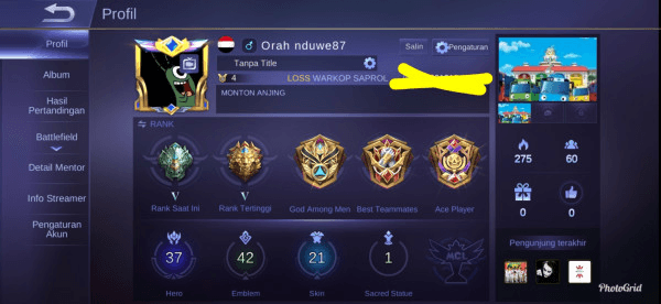 MOBILE LEGENDS|EPIC V|HERO 37 SKIN 21 ALL UNBINT