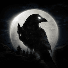 Night Crows - Top Up Via Voucher