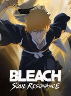 BLEACH: Soul Resonance Top Up