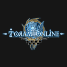 All Toram Online Products