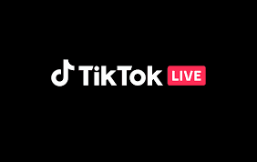 Gambar Product TikTok LIVE Gift Card 1000000 IDR [4100 Coins]