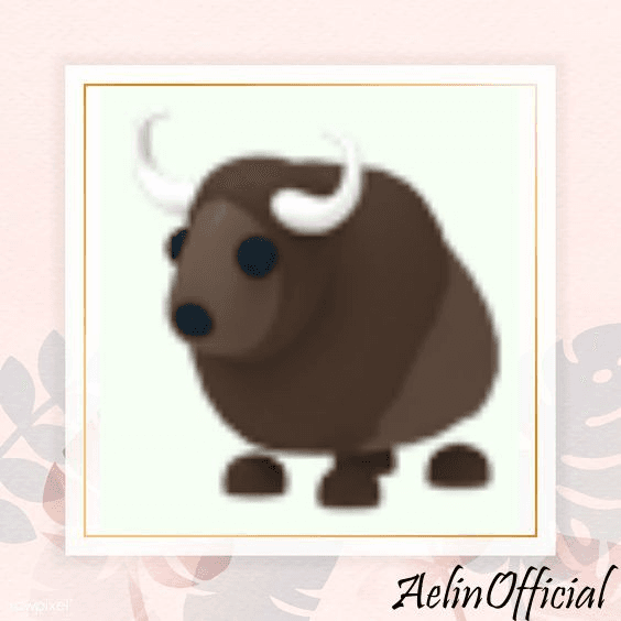 product-image-0
