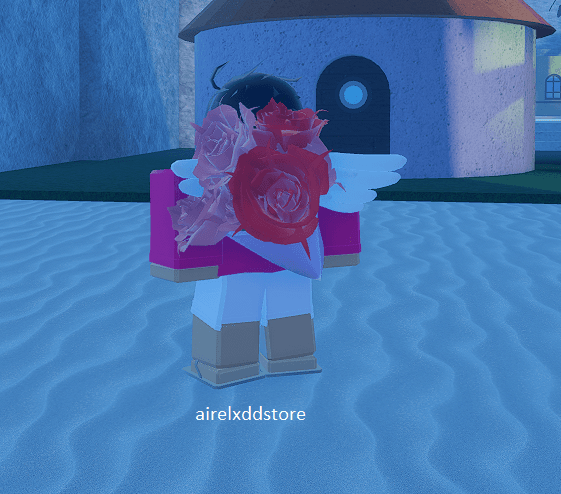 Product Showcase