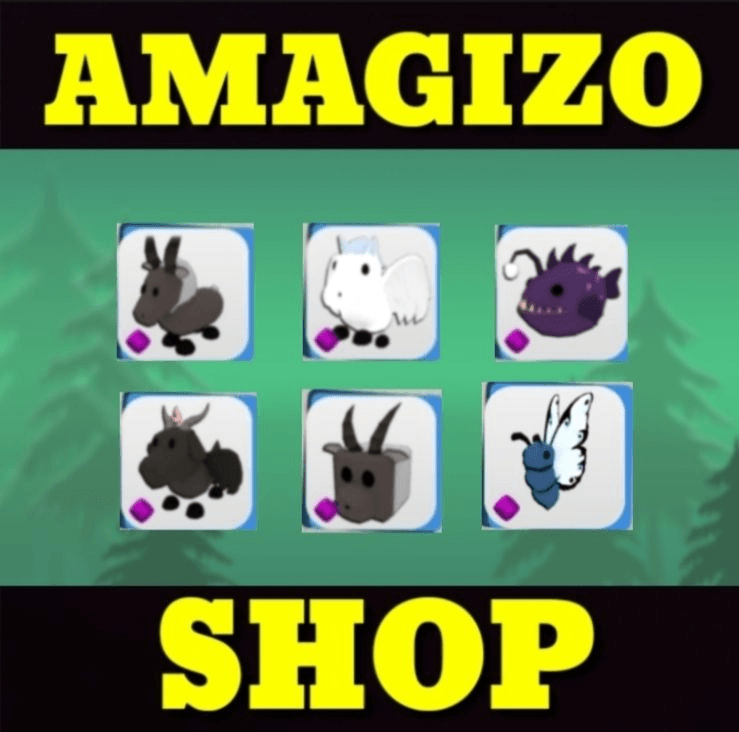 Product Showcase