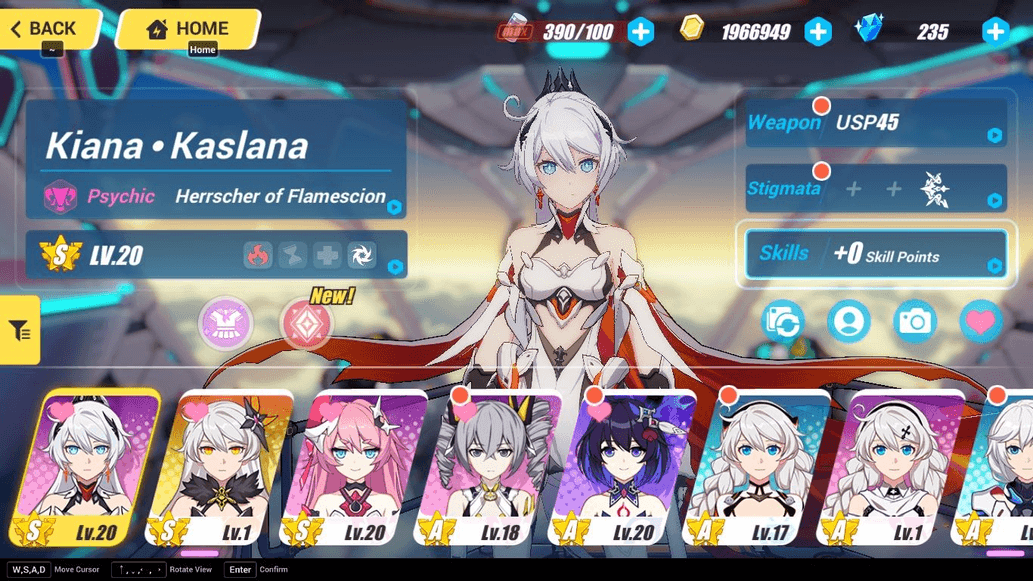 Product Showcase