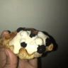 seller-image