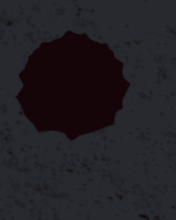 product-image-0