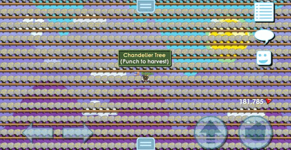 Gambar Product Full chandelier farm (ready harvest)