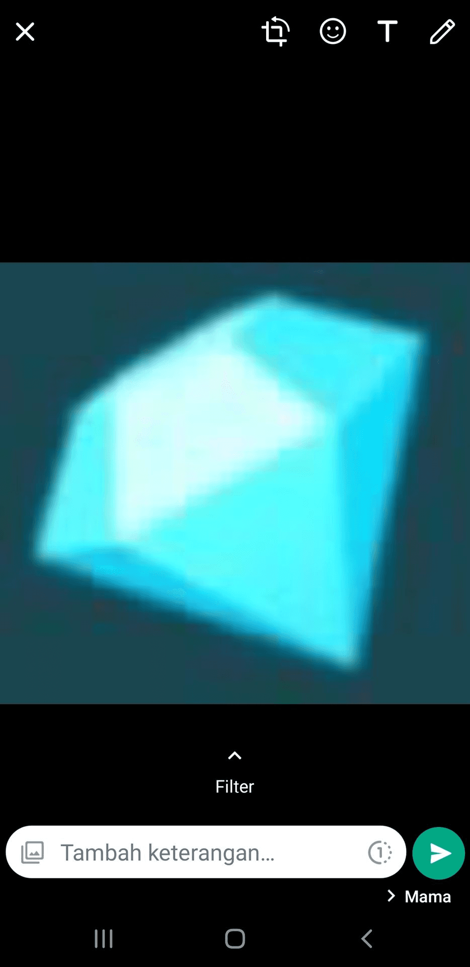 Product Showcase