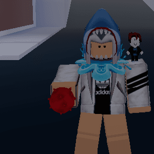 Product Showcase