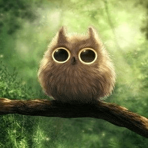 avatar Owl Store Roblox