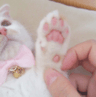 storeAvatar