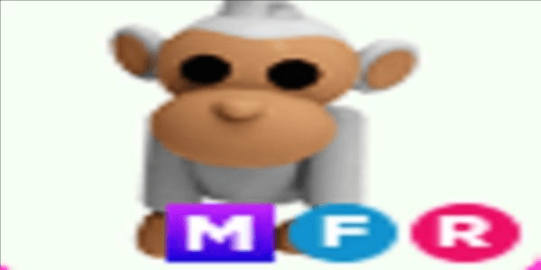 product-image-0