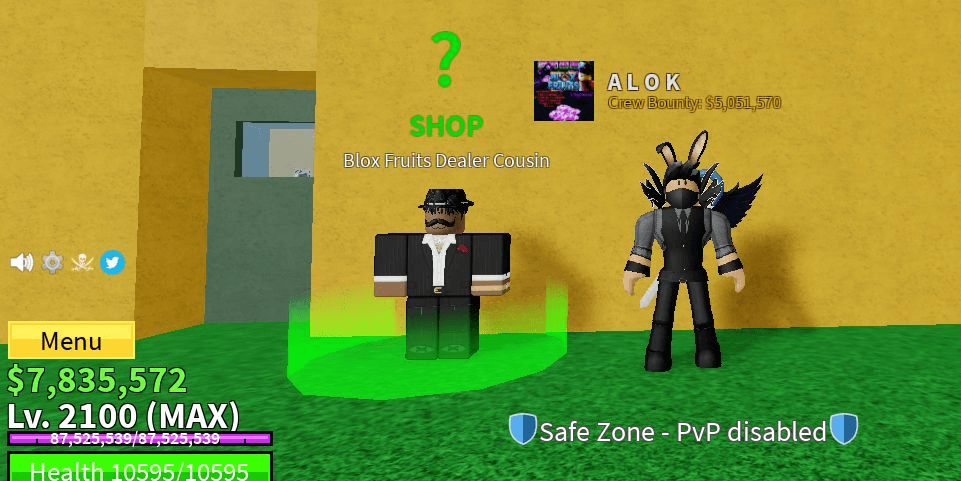 Product Showcase