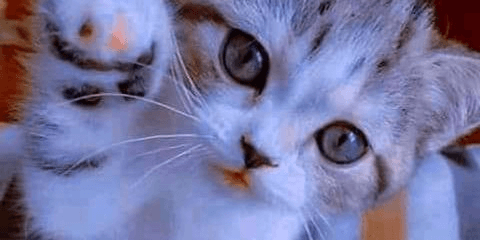 Gambar Product Pulsa Transfer 10000