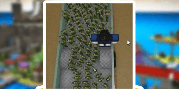 Product Showcase