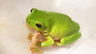 seller-image
