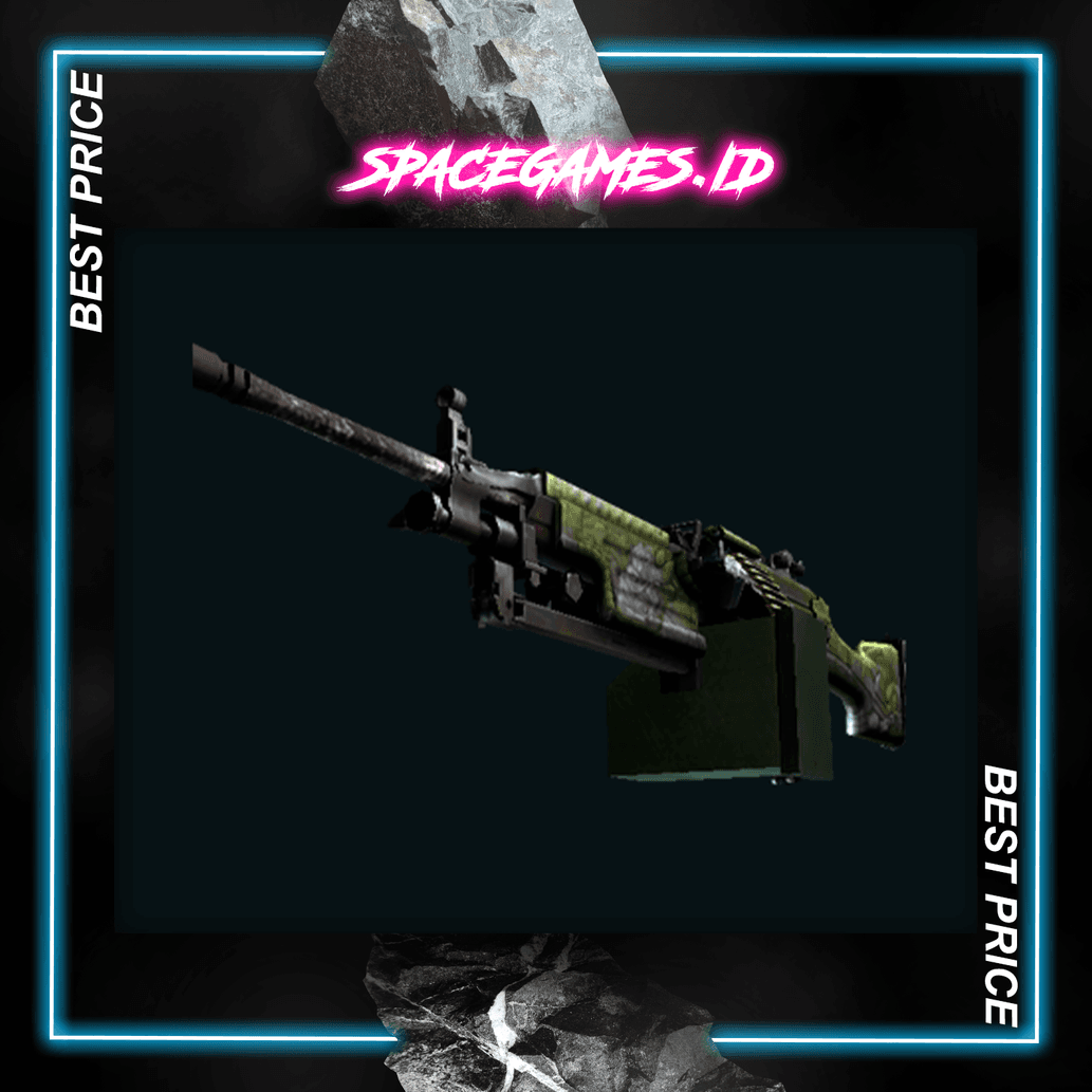 Product Showcase