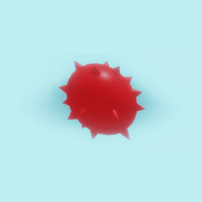 Product Showcase