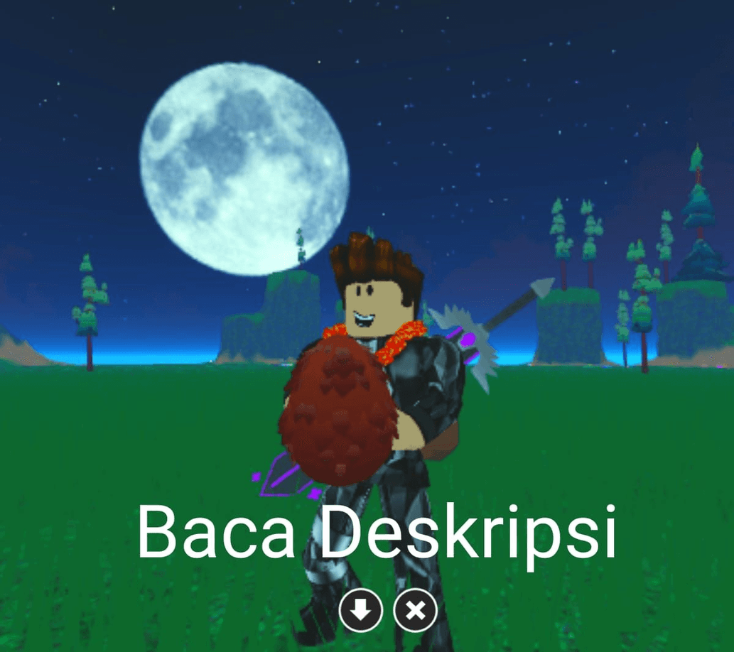 Product Showcase